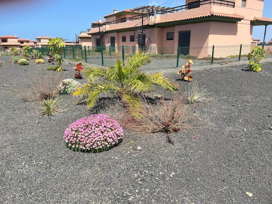 Casa Alaia Villa Lajares Eksteriør bilde